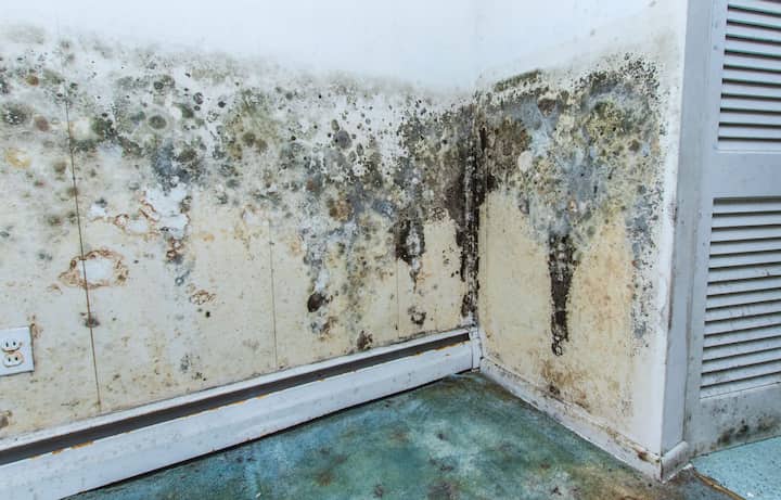 residential mold removal experts in Columbus